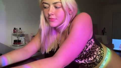 stella1005
