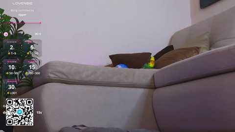 oliviabr0wn @ chaturbate on 20250920