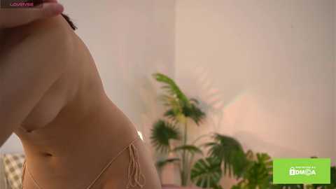 swtty_meivi @ chaturbate on 20250920