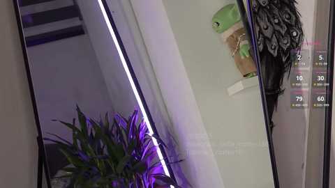 tatiana__cortes18 @ chaturbate on 20250921