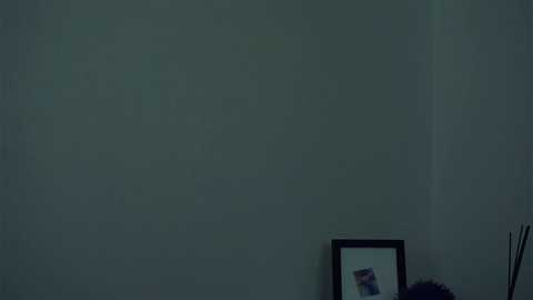 coventinaashfield @ chaturbate on 20250923