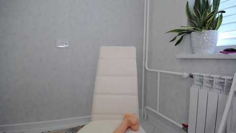 arinamir @ chaturbate on 20250925