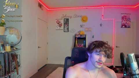 thejohnnystone