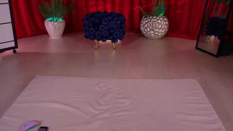 kittycaitlin