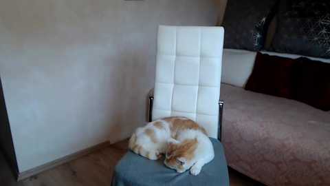 kathylovexxx