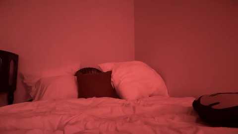 stellapearl @ chaturbate on 20251007