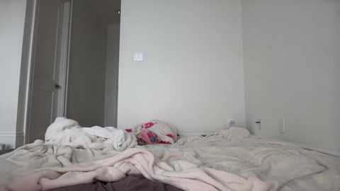 stellapearl @ chaturbate on 20251010