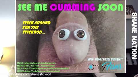 shanestickrod @ chaturbate on 20251012