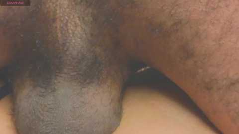 gina_akemi