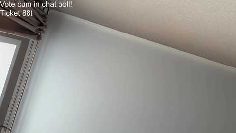 alissgrey