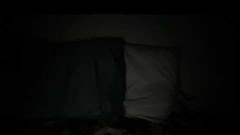 hardcore996628 @ chaturbate on 20251019