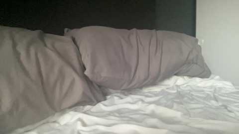 taiob283 @ chaturbate on 20251019