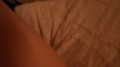 tollysage