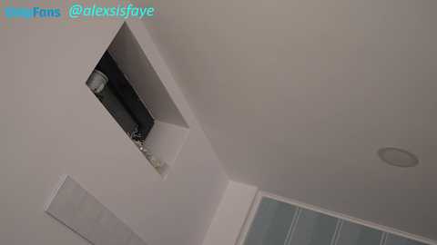 alexsisfaye