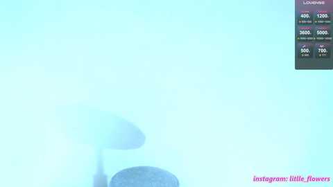 litlle_flowers @ chaturbate on 20251021