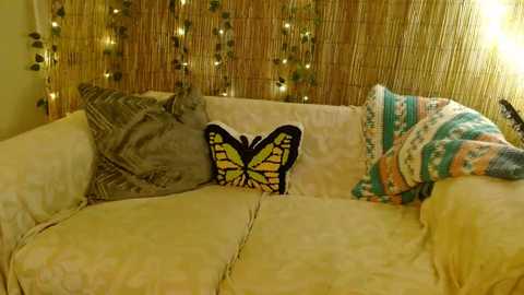 mindymounds @ chaturbate on 20251021