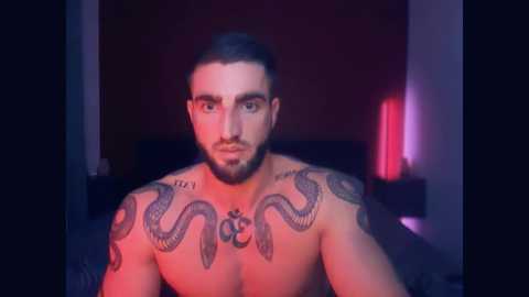 bigsnakeman1995 @ chaturbate on 20251022