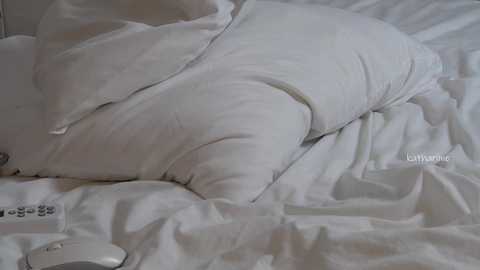 kathariine @ chaturbate on 20251022