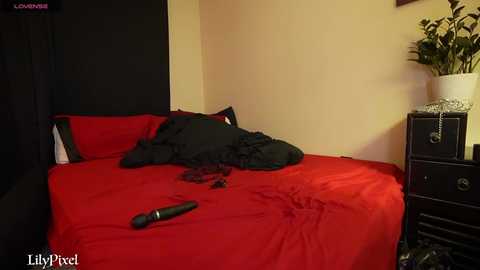 lilypixel @ chaturbate on 20251023