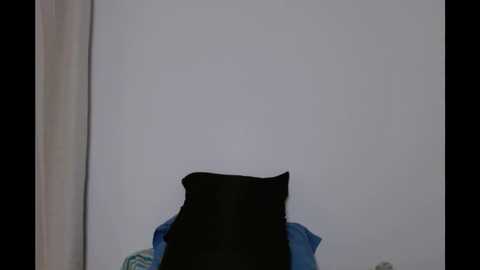 nextboyraw @ chaturbate on 20251023