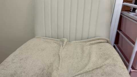 perkyprincessa @ chaturbate on 20251023