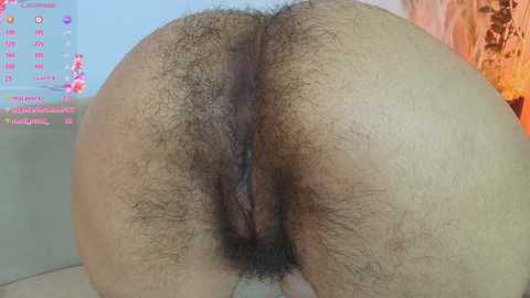 sunflower_aillyn @ chaturbate on 20251023