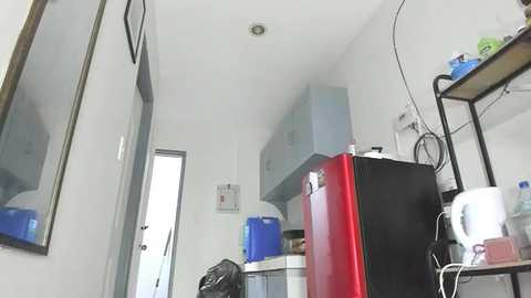 xdreamangel
