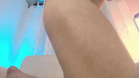 nezo_