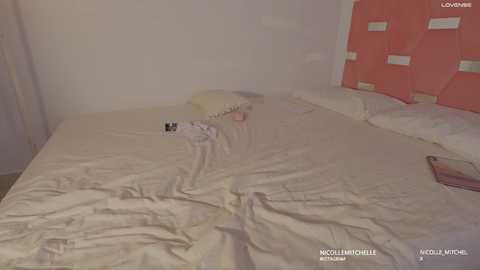 nicolle_mitchelle
