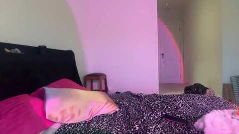 alexajefferies @ chaturbate on 20251105