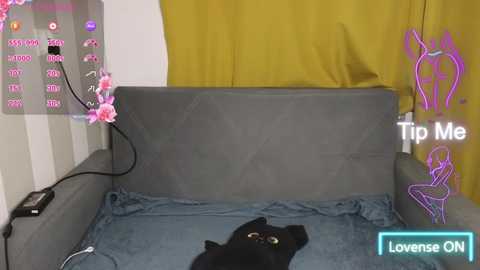 megan__stoone @ chaturbate on 20251106