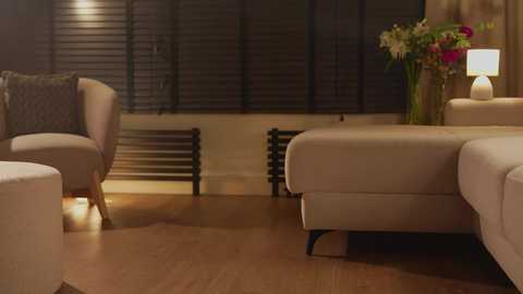 villanelle_l @ chaturbate on 20251107