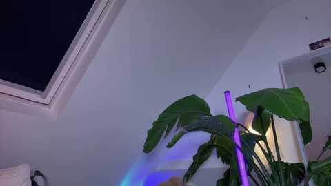 _deepthroatgalactica @ chaturbate on 20251110