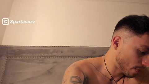 spartacozz