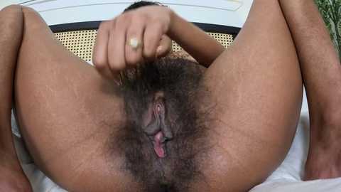 thenaturallovers @ chaturbate on 20251110