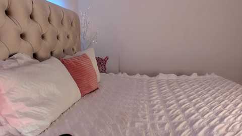 dee_nise @ chaturbate on 20251112