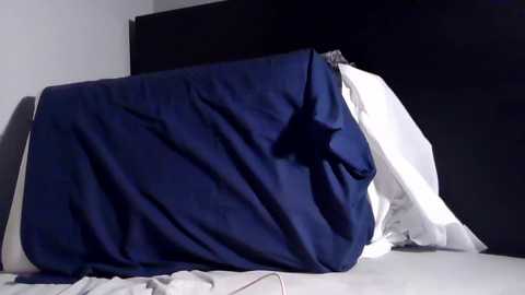 yslriver @ chaturbate on 20251112