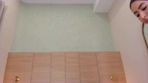 isabel_millher @ chaturbate on 20251113