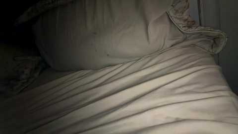 x_dreamgirl_x @ chaturbate on 20251113