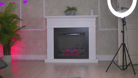 abbela_white @ chaturbate on 20251114