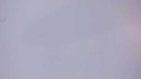 bush_woman @ chaturbate on 20251114