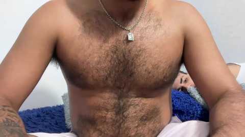 dcollins_ @ chaturbate on 20251114