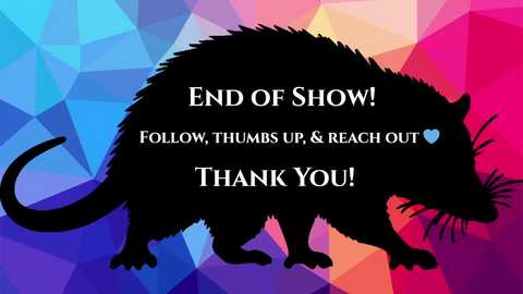 levity_opossum @ chaturbate on 20251114