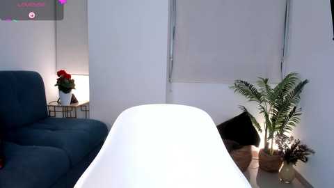 ann__w @ chaturbate on 20251116