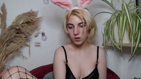 cherrybi @ myfreecams on 20230901