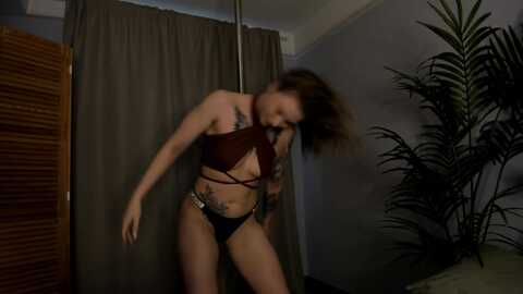 euphoriadance @ myfreecams on 20230901