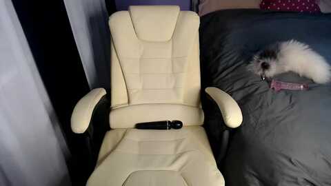 angel_jessie @ myfreecams on 20230903