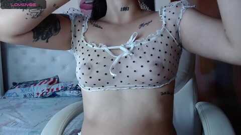 iamsel