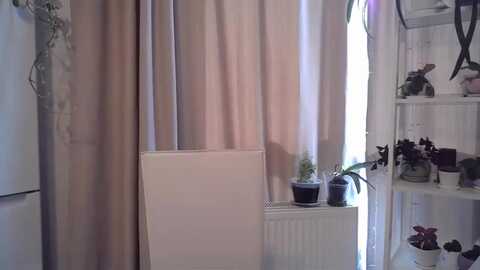 sunrise_ntl @ myfreecams on 20230906
