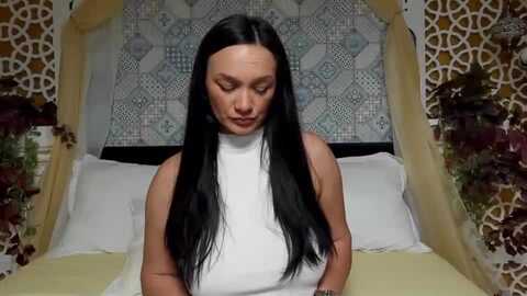 daliyahabibi @ myfreecams on 20230912